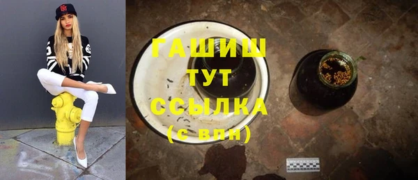 гидра Алексеевка