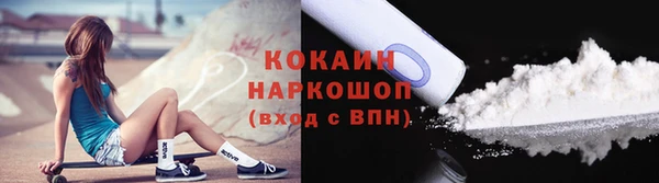 соль ск Алзамай