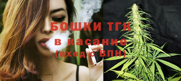 соль ск Алзамай