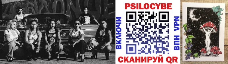 Псилоцибиновые грибы Psilocybine cubensis  Борзя 