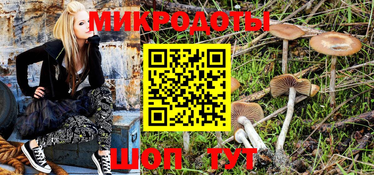 Галлюциногенные грибы ЛСД Борзя