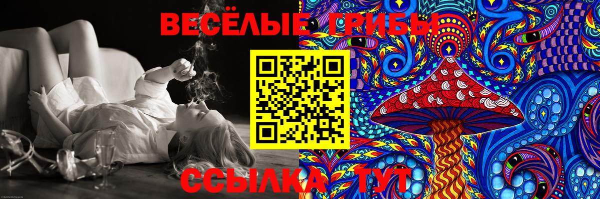 Псилоцибиновые грибы Psilocybine cubensis  Вход с VPN  Борзя 